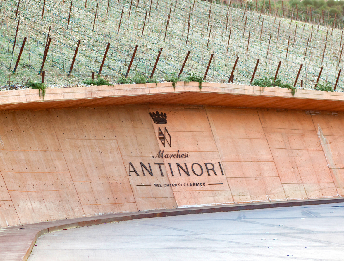 Итальянский винный дом Antinori остановил поставки в Россию