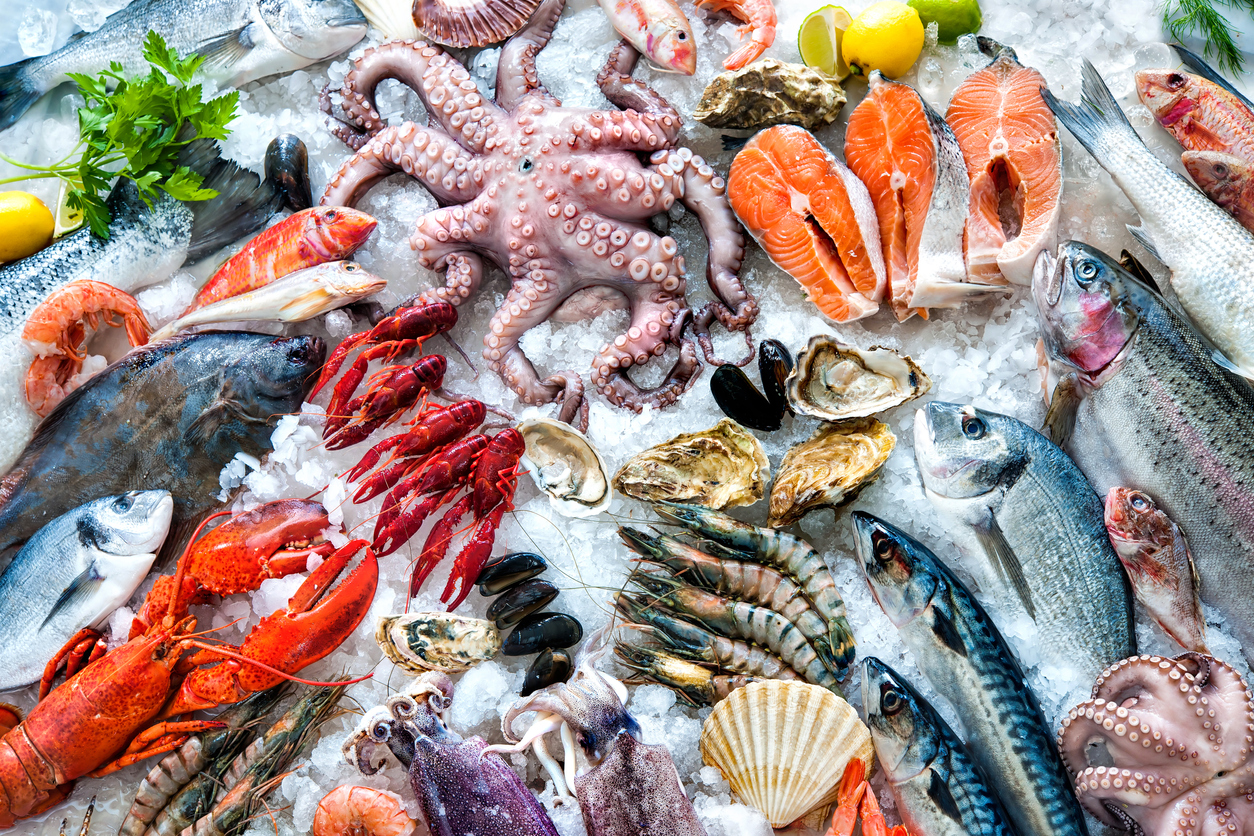 Ученые из Стэнфорда выяснили, употребление какого морепродукта обращает вспять старение мозга