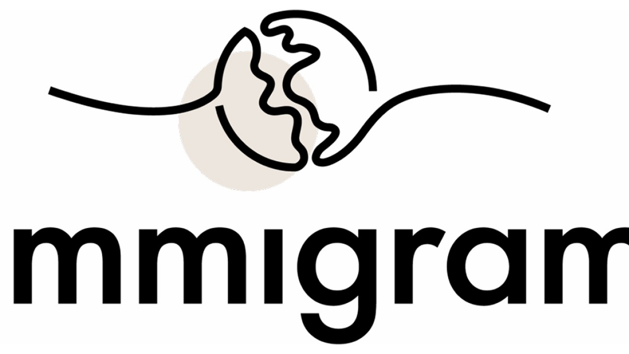 Конкурс питчей Slush аннулировал победу стартапа Immigram с российскими основателями