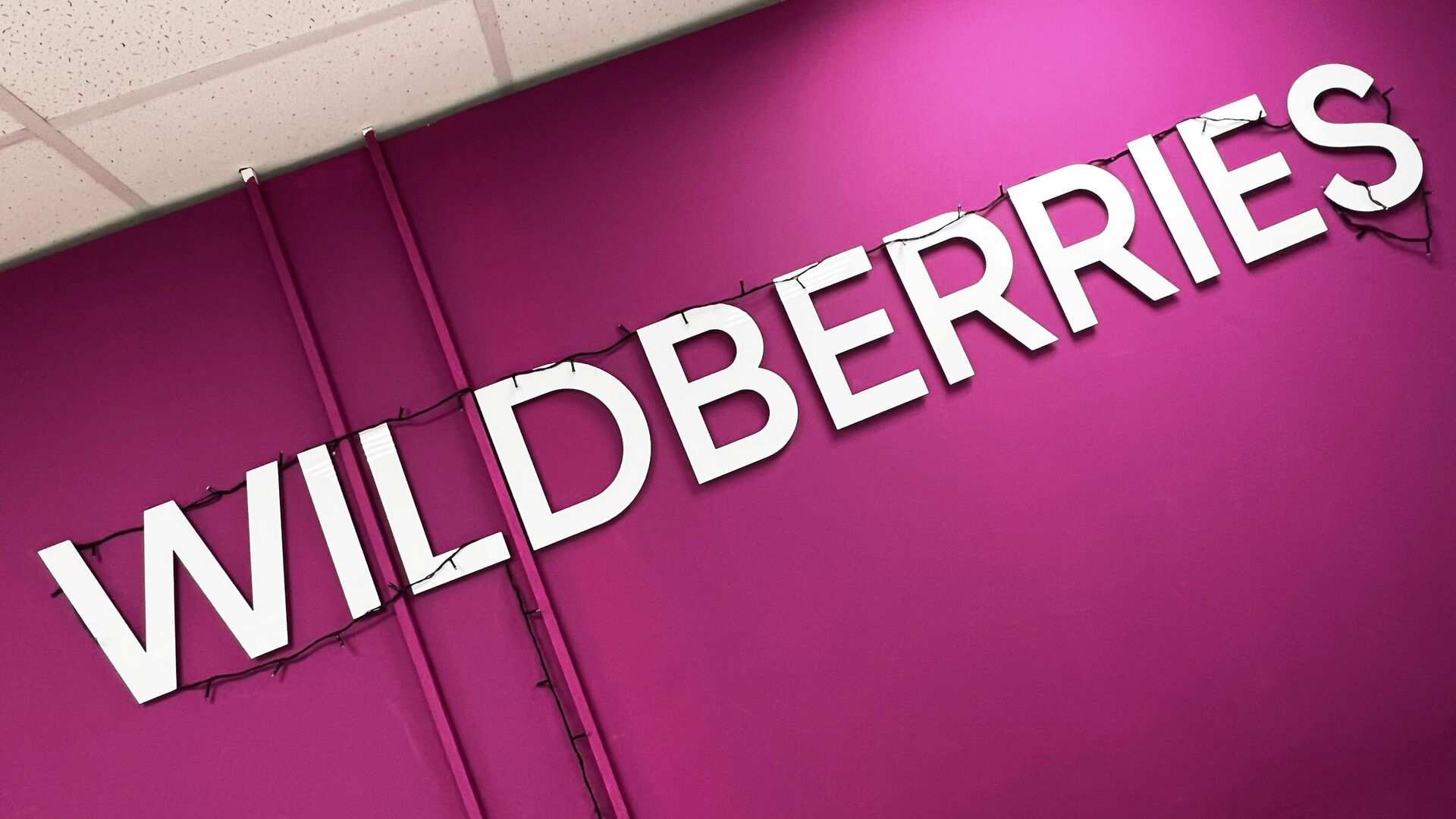Wildberries запустит СТМ электроники и бытовой техники