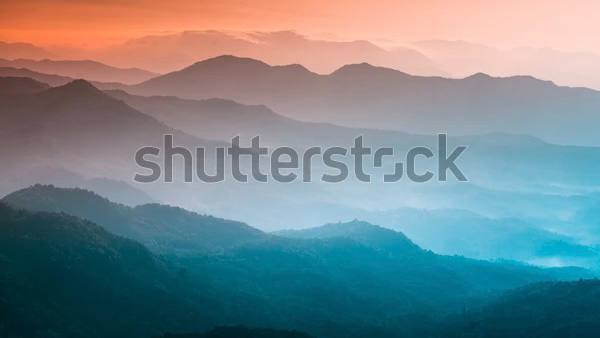 В России разблокировали сайт фотобанка Shutterstock