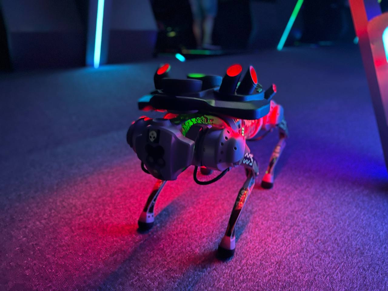 Основанная россиянином киберспортивная сеть True Gamers запустит в ОАЭ робособак-официантов