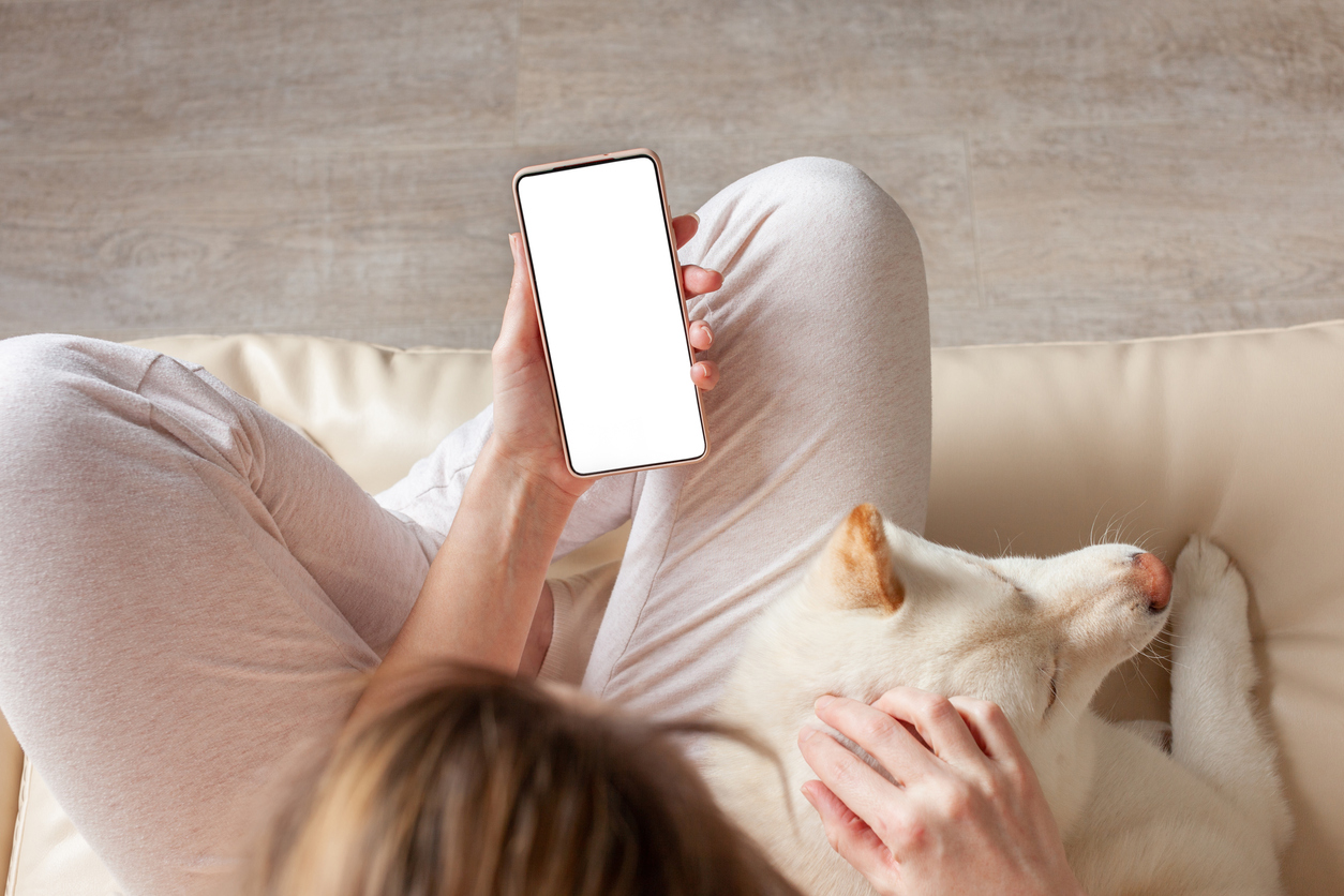 Продажи iPhone на Авито выросли в три раза за год
