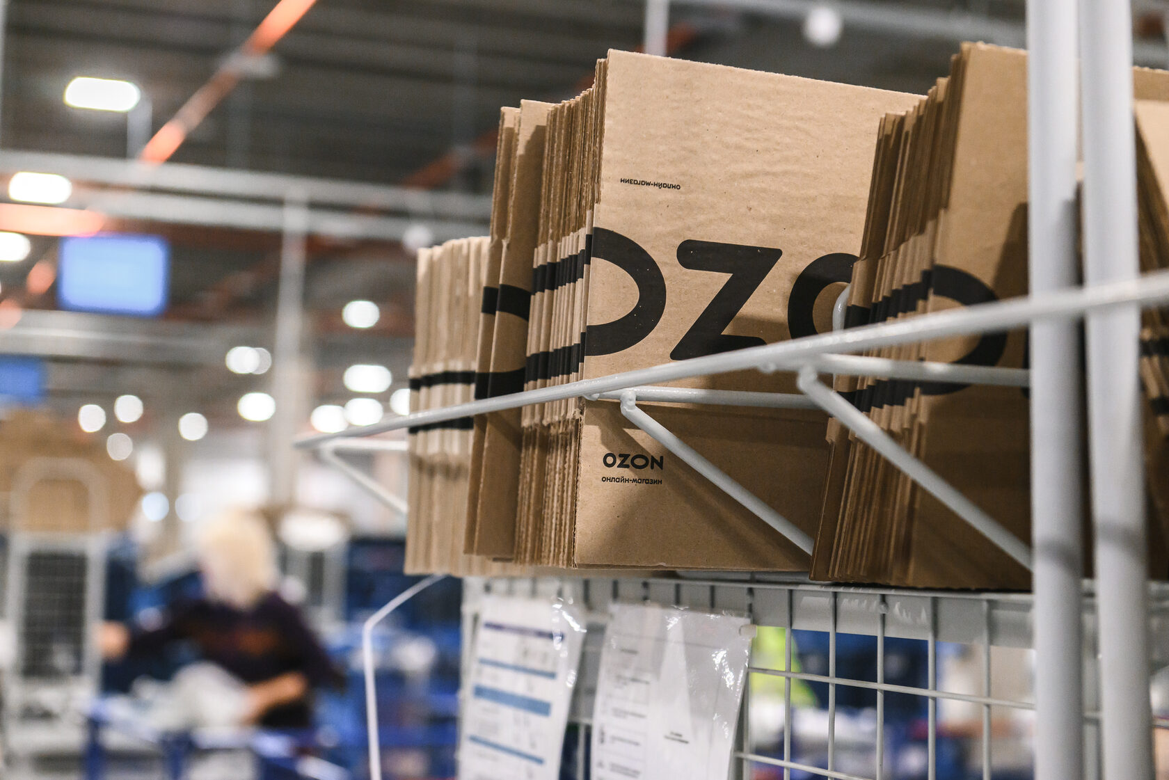 Ozon не будет принуждать к утилизации или распродаже неходовых товаров