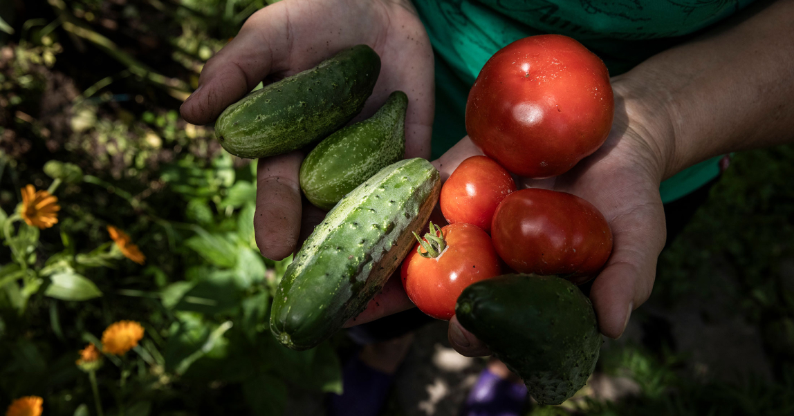 Больше чистой воды, свежих овощей и гигиенической продукции: как лизинг помогает развиваться небольшим производителям