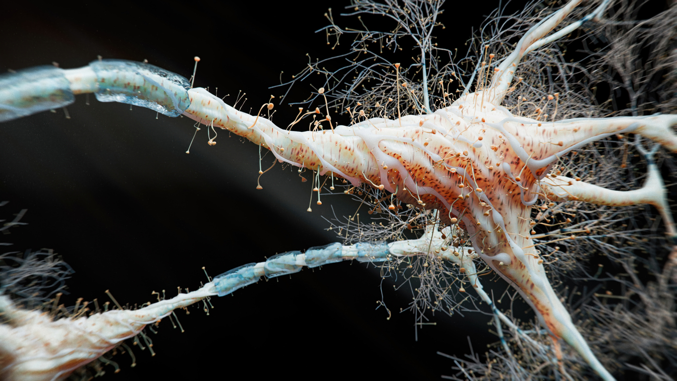 Ученые впервые в мире напечатали на 3D-принтере работающую, развивающуюся ткань человеческого мозга          