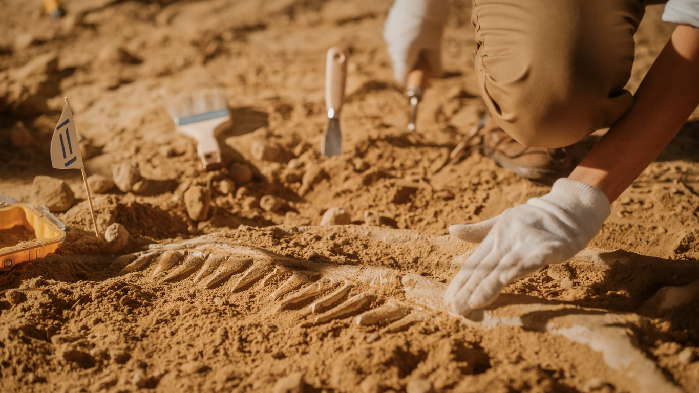 Микропластик был обнаружен в материалах археологических находок          