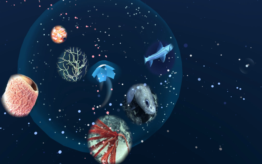 Создана мобильная игра, которая позволяет каждому человеку буквально принять участие в исследовании океанских глубин          