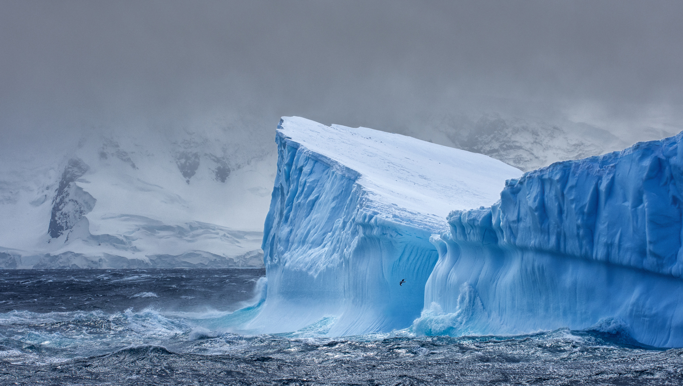 Пруды с талой водой, которые стали образовываться по всей территории, стали угрожать стабильности Антарктики          