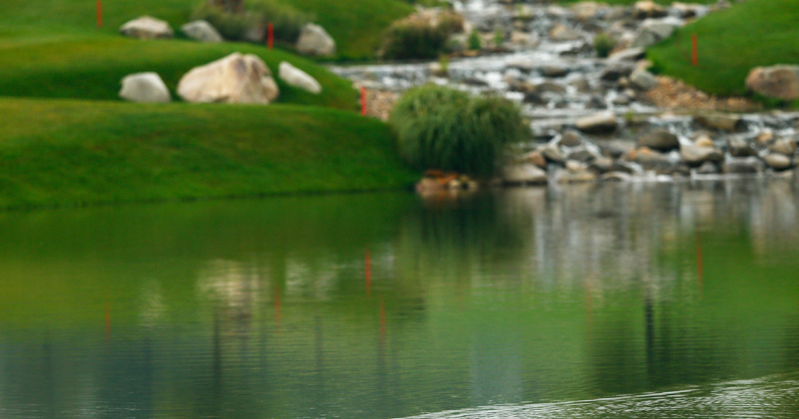 Зеленый код: как Москва сохраняет лидерство в сфере экологии