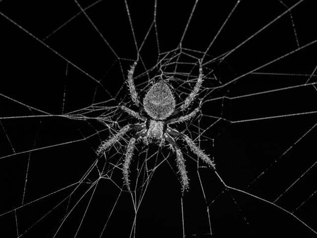 Немецкие ученые вырастили в пробирке пауков со сверхспособностью. Эксперты сомневаются в безопасности открытия