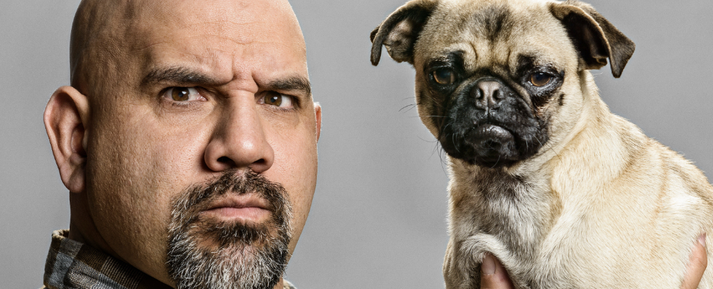 Собаки и правда похожи на своих хозяев: ученые поставили точку в этом вопросе