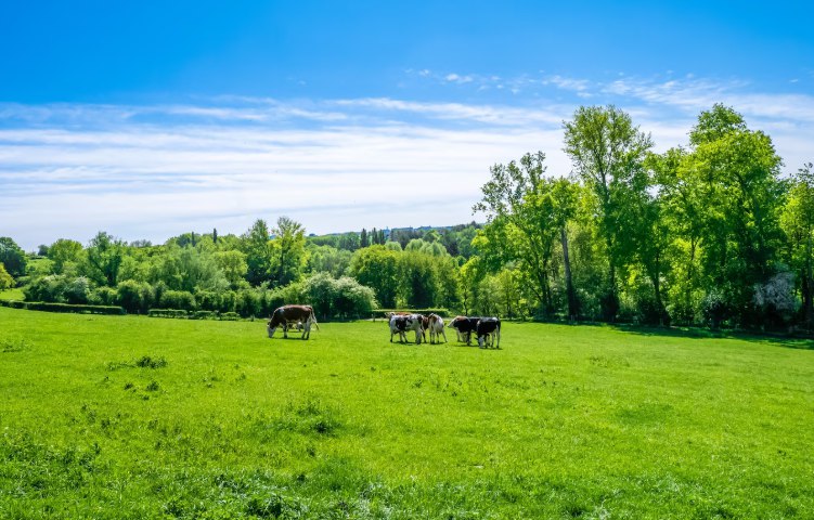 Советские коровники получили вторую жизнь в агротуризме