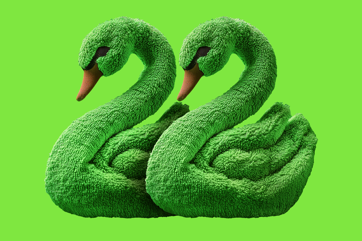 В России появился День отельного лебедя  неофициальный праздник уюта и путешествий