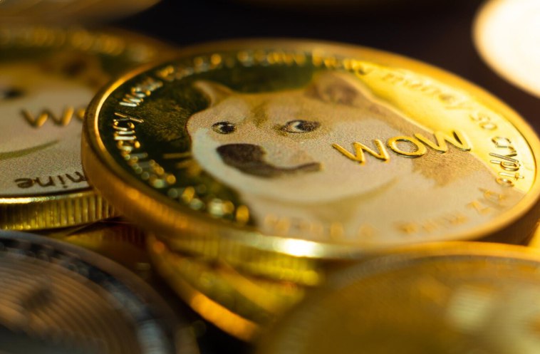 Любимый мемкоин Илона Маска подорожал на 40% и обновил полугодовые максимумы