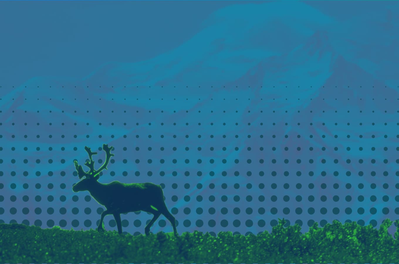 Место встречи изменить нельзя: почему Аляска является ключевой точкой интересов России и США