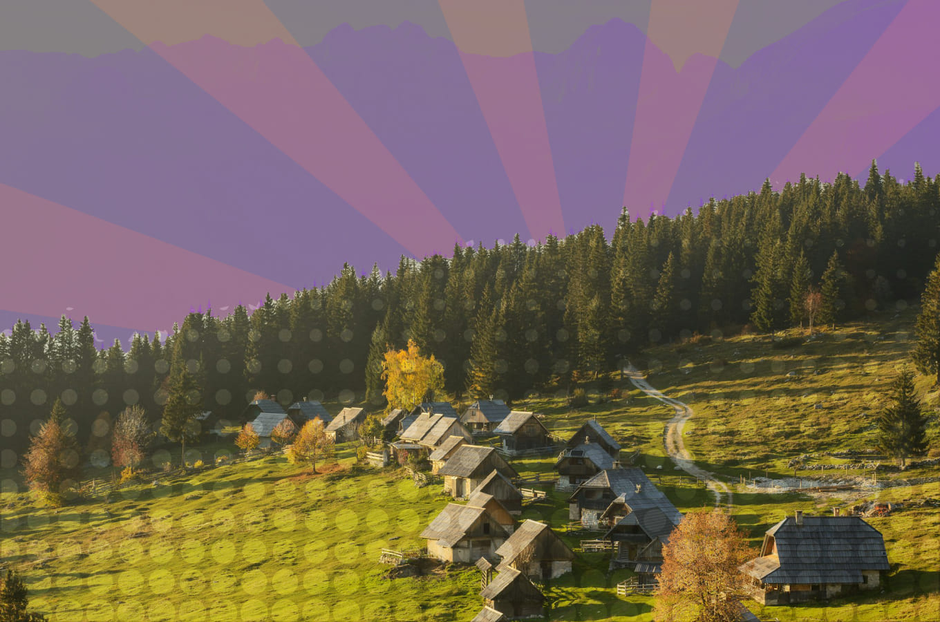 Две трети покупателей предпочитают товары из родного региона: зачем запускать ПВЗ «за МКАДом»