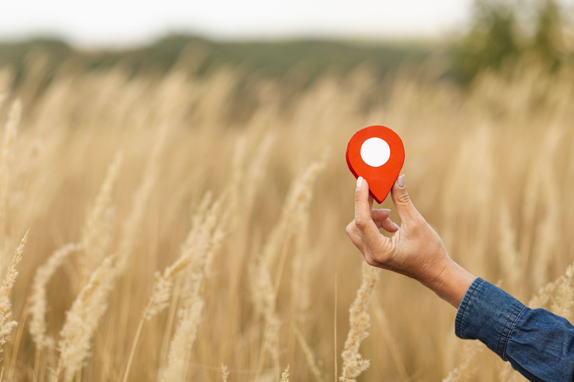 Земля для барбекю: в России нашли участок площадью всего 0,6 сотки