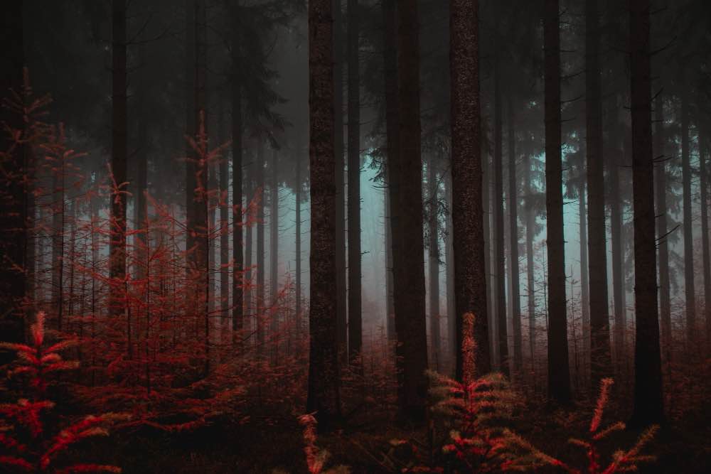 Российские кинотеатры покажут финал Очень странных дел без лицензии Netflix