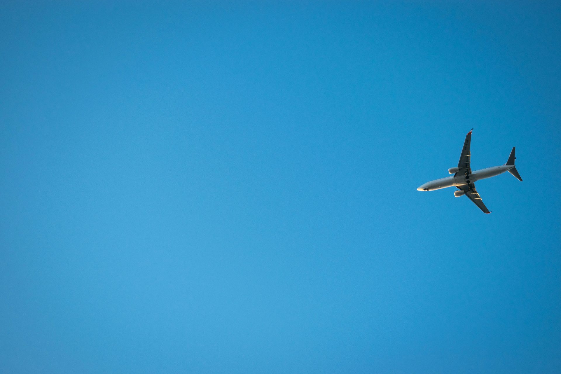 Российские авиакомпании сообщили о сбое в системе бронирования Leonardo