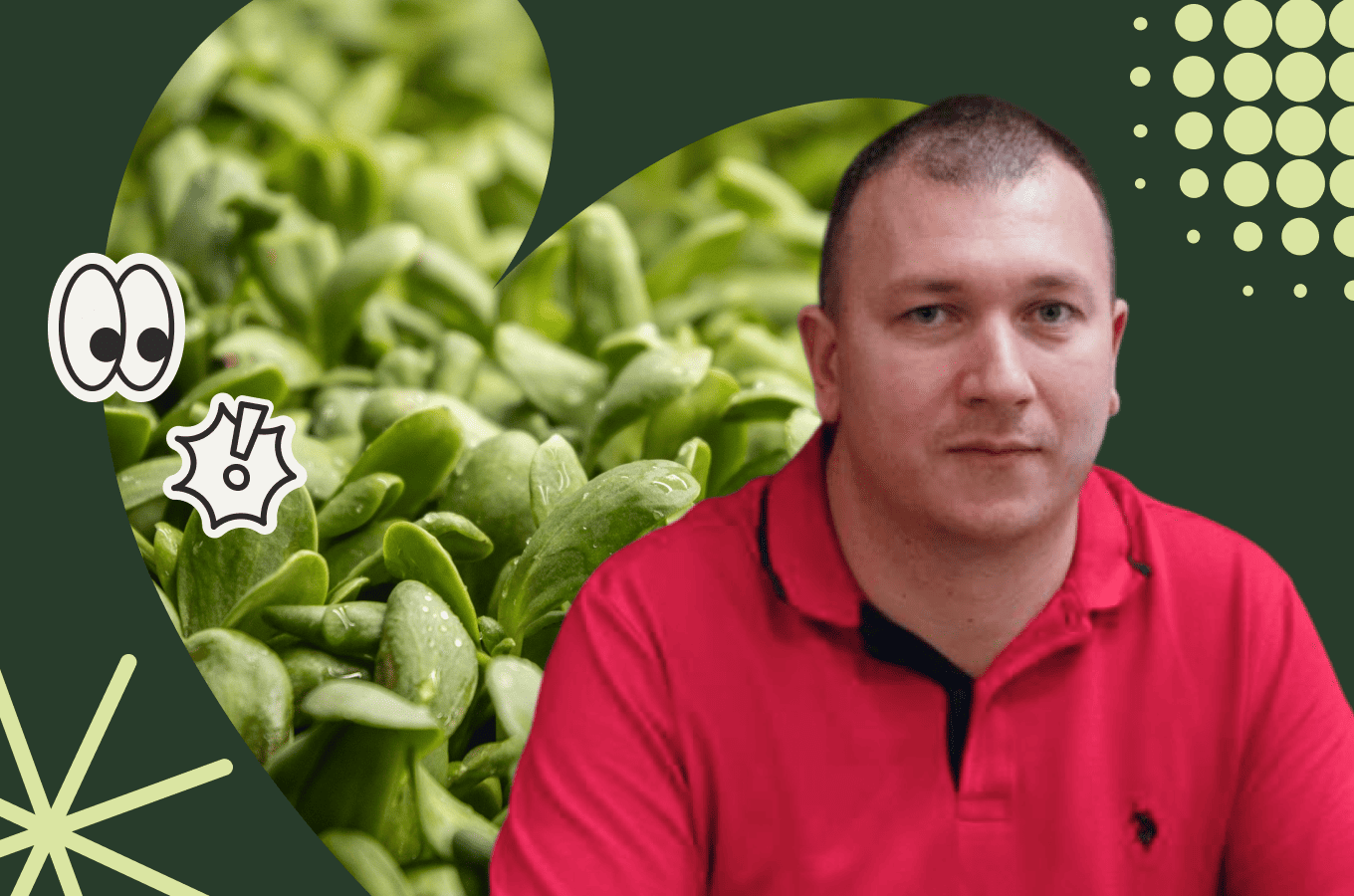 Ваши идеальные помидоры никому не нужны: 5 бизнес-ошибок владельца тепличного хозяйства