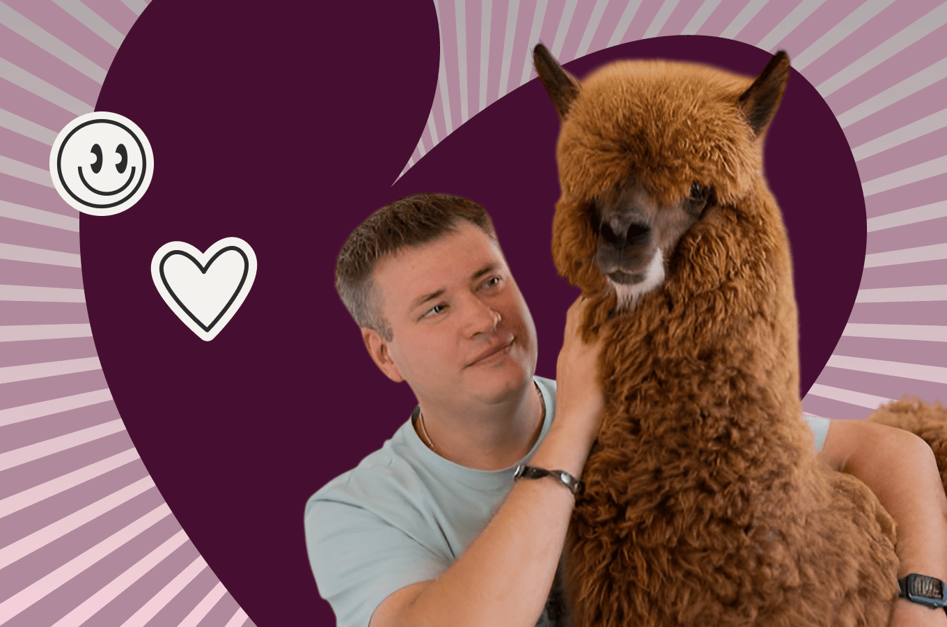 Гнался за метриками, а теперь глажу альпак. Как топ-менеджер госкомпании бросил карьеру ради семейного бизнеса