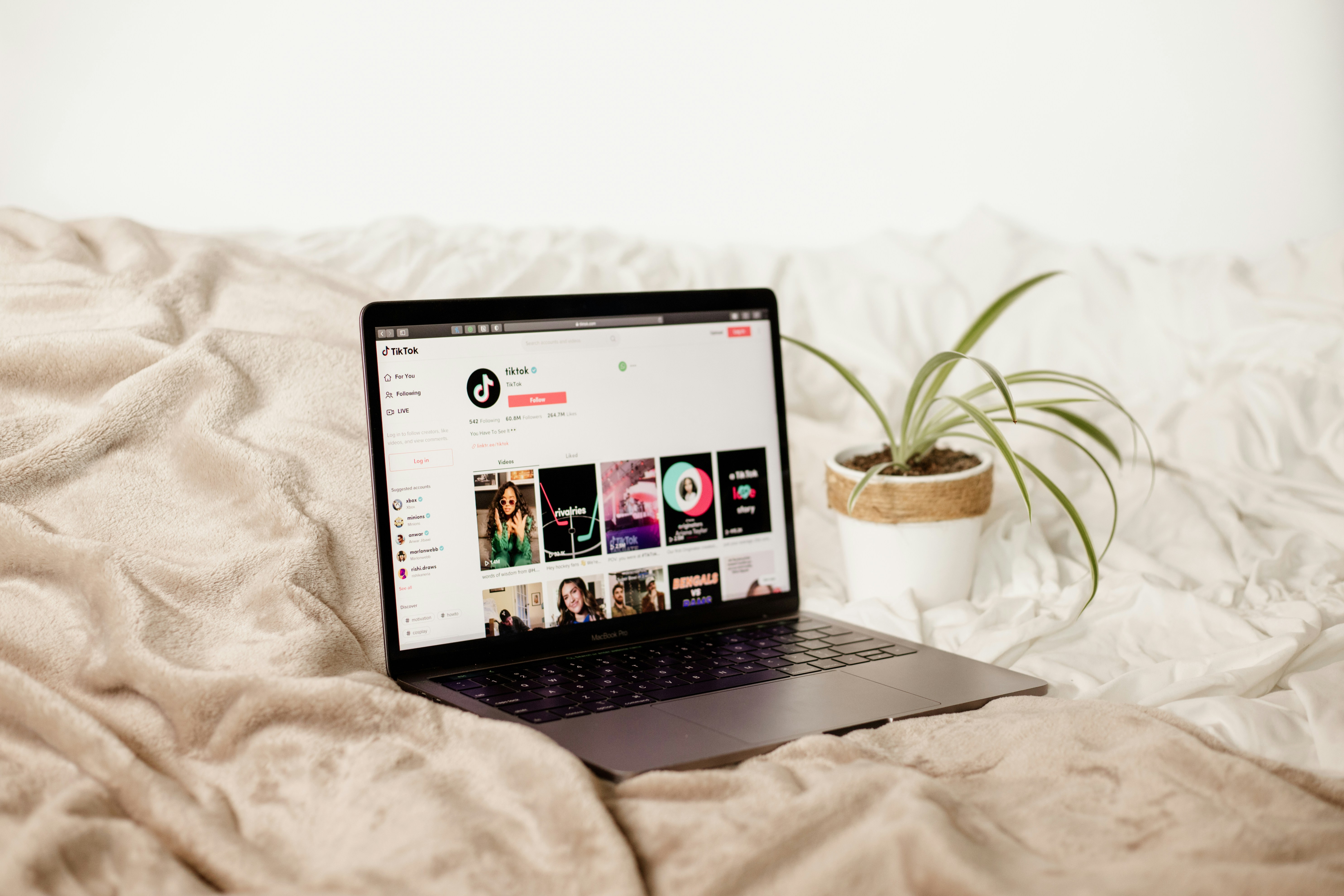 TikTok запустил сервис бронирования отелей и экскурсий внутри приложения