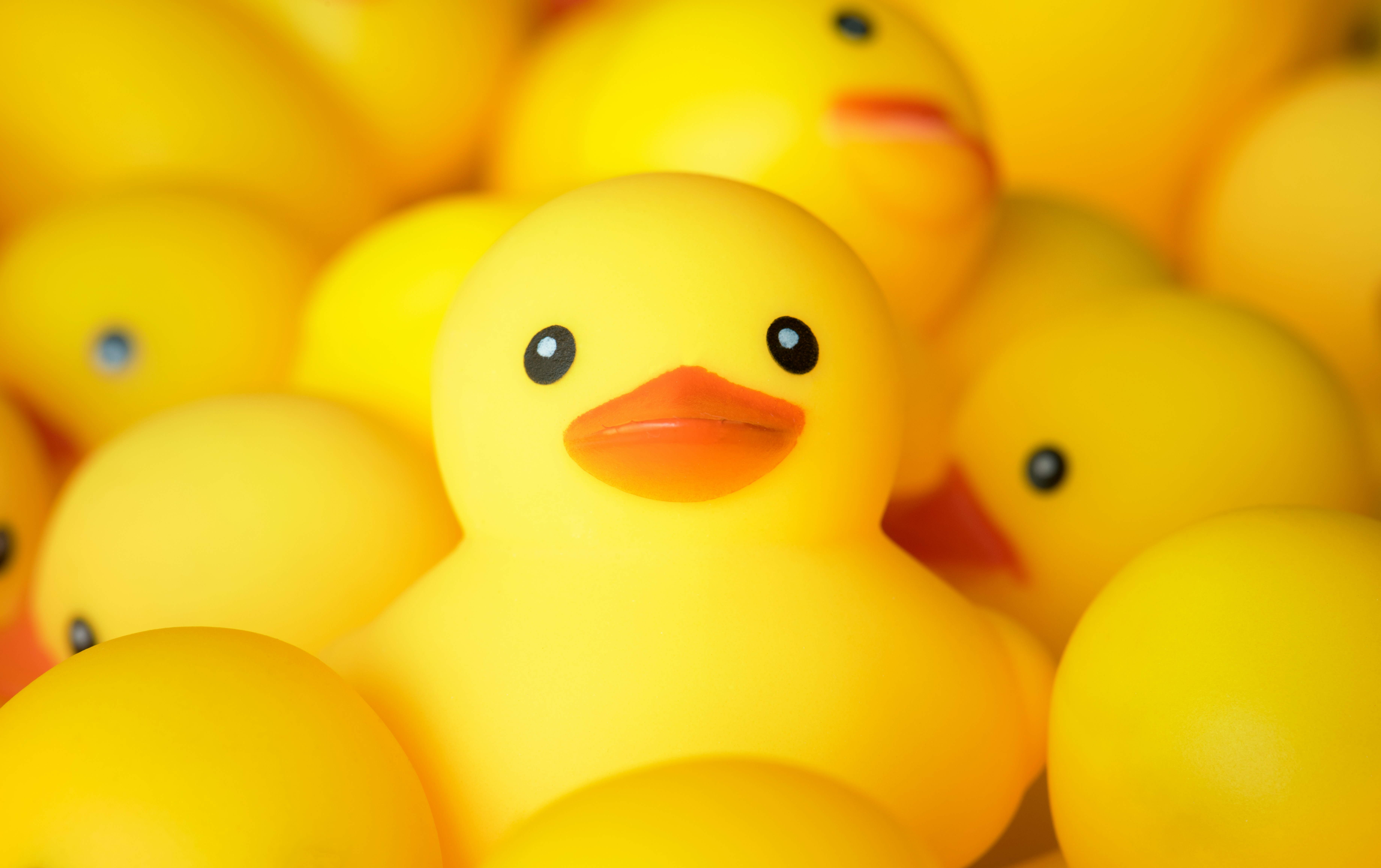 Hugging Face открыла предзаказы на робота-утку Microduck
