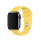 Превью-изображение №1 для товара «Браслет Apple Watch 40mm Canary Yellow Sport Band»