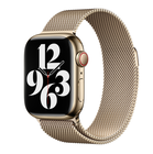 Превью-изображение №1 для товара «Браслет Apple Watch 41mm Gold Milanese»