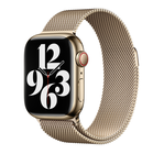 Превью-изображение №1 для товара «Браслет Apple Watch 45mm Gold Milanese»