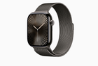 Превью-изображение №1 для товара «Apple Watch Series 10 46mm Slate Titanium Case with Slate Milanese Loop M/L (GPS+ CEL)»