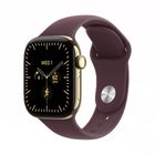 Превью-изображение №1 для товара «Apple Watch Series 12 46mm Radiant Gold Titanium Case with Burgundy Sport Band (GPS+Cellular) S/M»