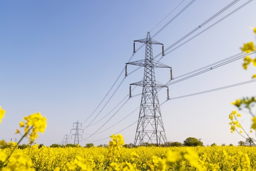 Russia Tests Robotics to Modernize Power Grid Maintenance