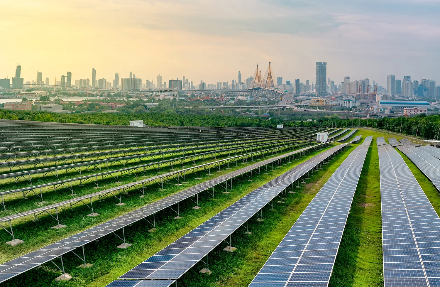 Photo - Smart Eco-City: Neural Networks to Keep Russian Streets Cleaner