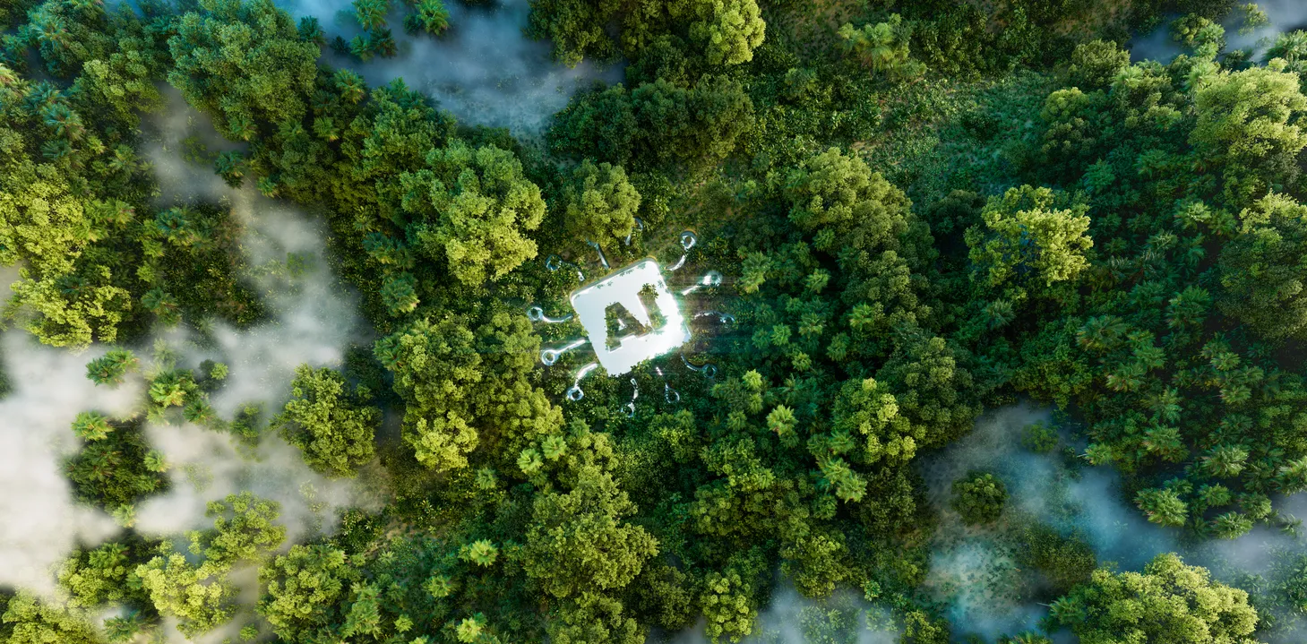 AI to Detect Illegal Construction in Russian Forests
