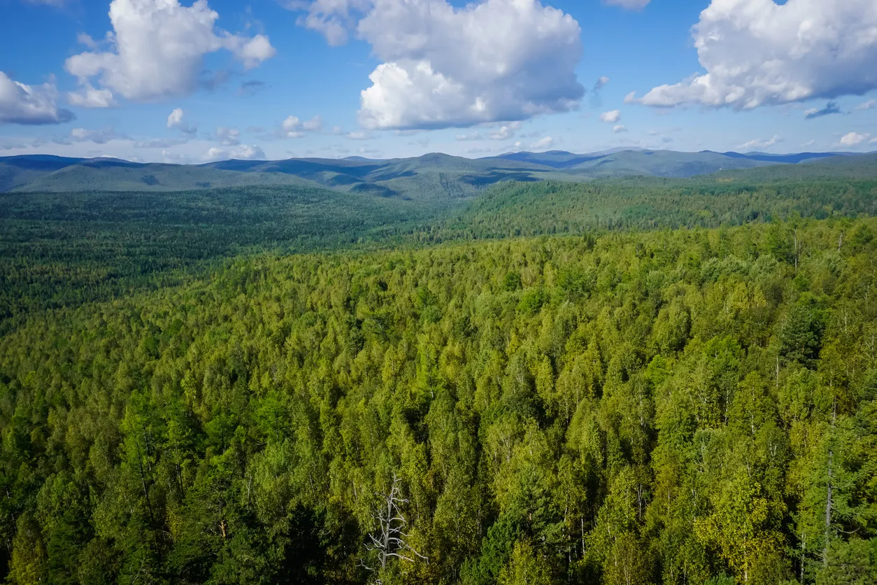 Russia’s Forest Rangers Are Learning to Fly Drones to Protect the Taiga
