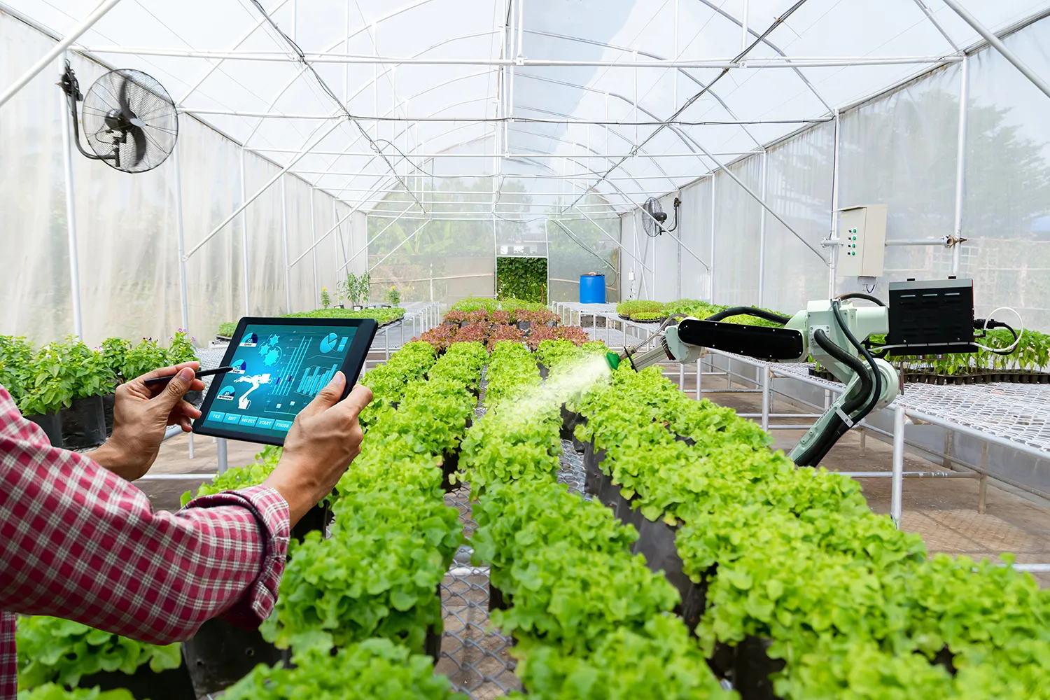 Photo - Precision Planting, Swift Harvesting: AI Robots Take Over Russia’s Agricultural Frontlines