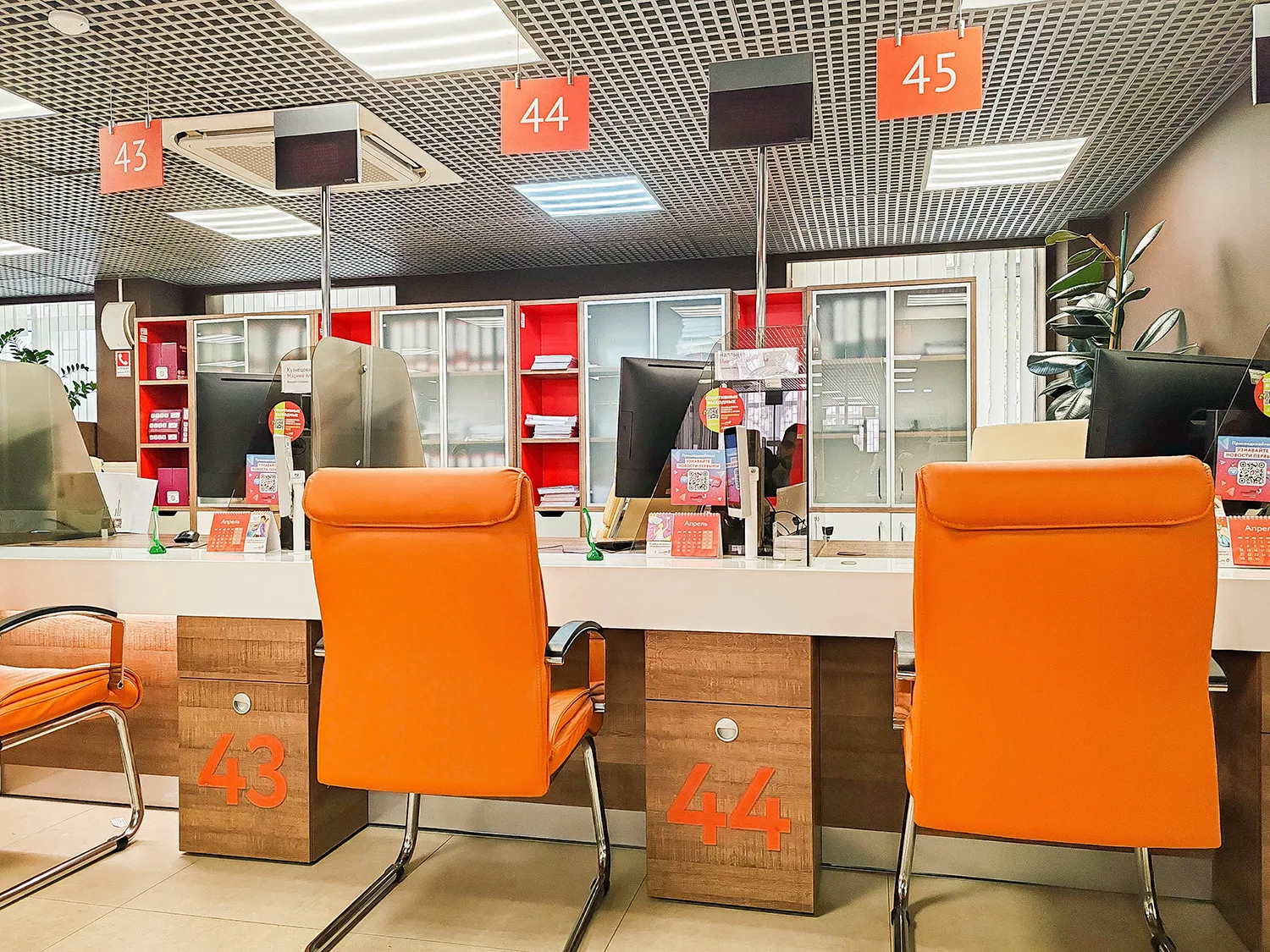Photo - 175,000 Trees Saved: How Moscow’s Digital Transformation Supports Sustainability