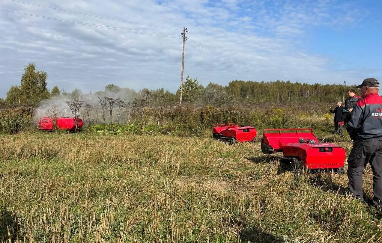 Robotized Complex Developed in Nizhny Novgorod Region to Combat Giant Hogweed