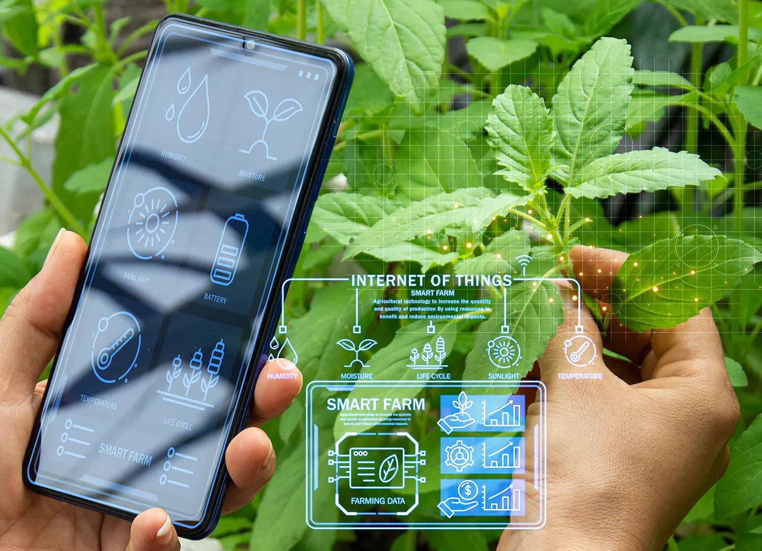 Harvest Under AI Supervision: Russian Robot and Neural Network Tackle Plant Diseases