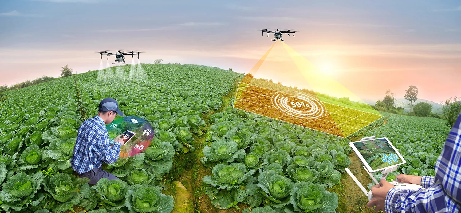 Photo - Freedom from Routine: How AI Is Transforming Russian Agriculture