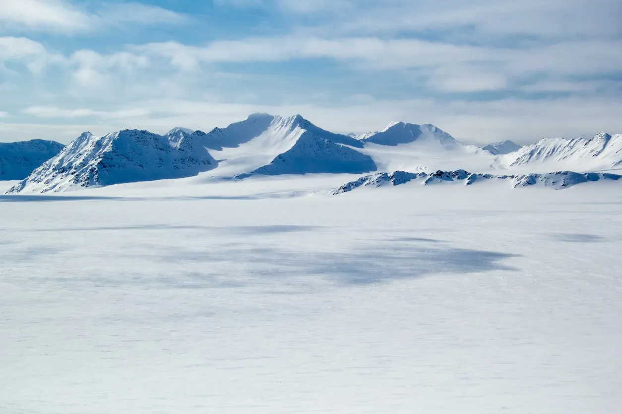 AI Could Transform Arctic Industry and Conservation, Says Russian Expert