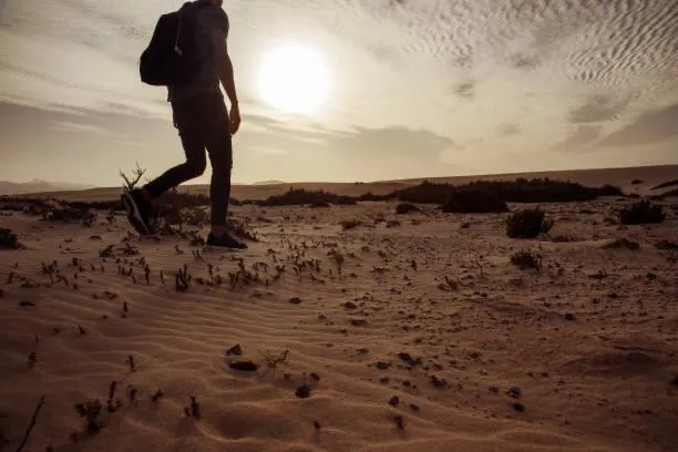 Russia Launches Smart System to Protect Land From Desertification