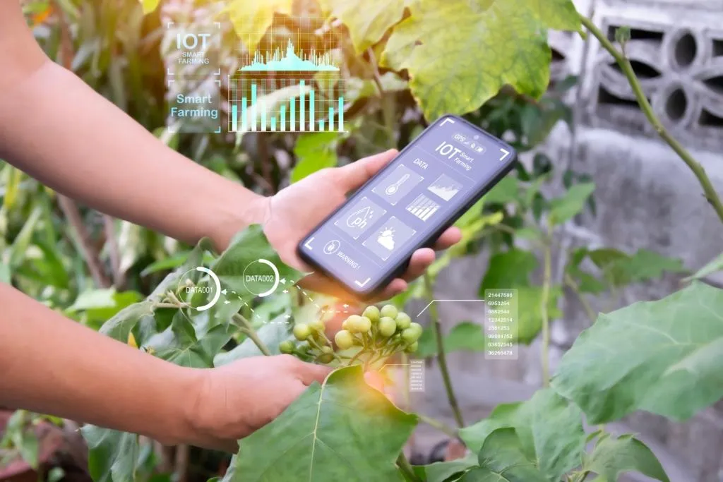 Photo - AI Diagnoses Plant Diseases from Photos: Russian Innovation Targets Smarter Farming
