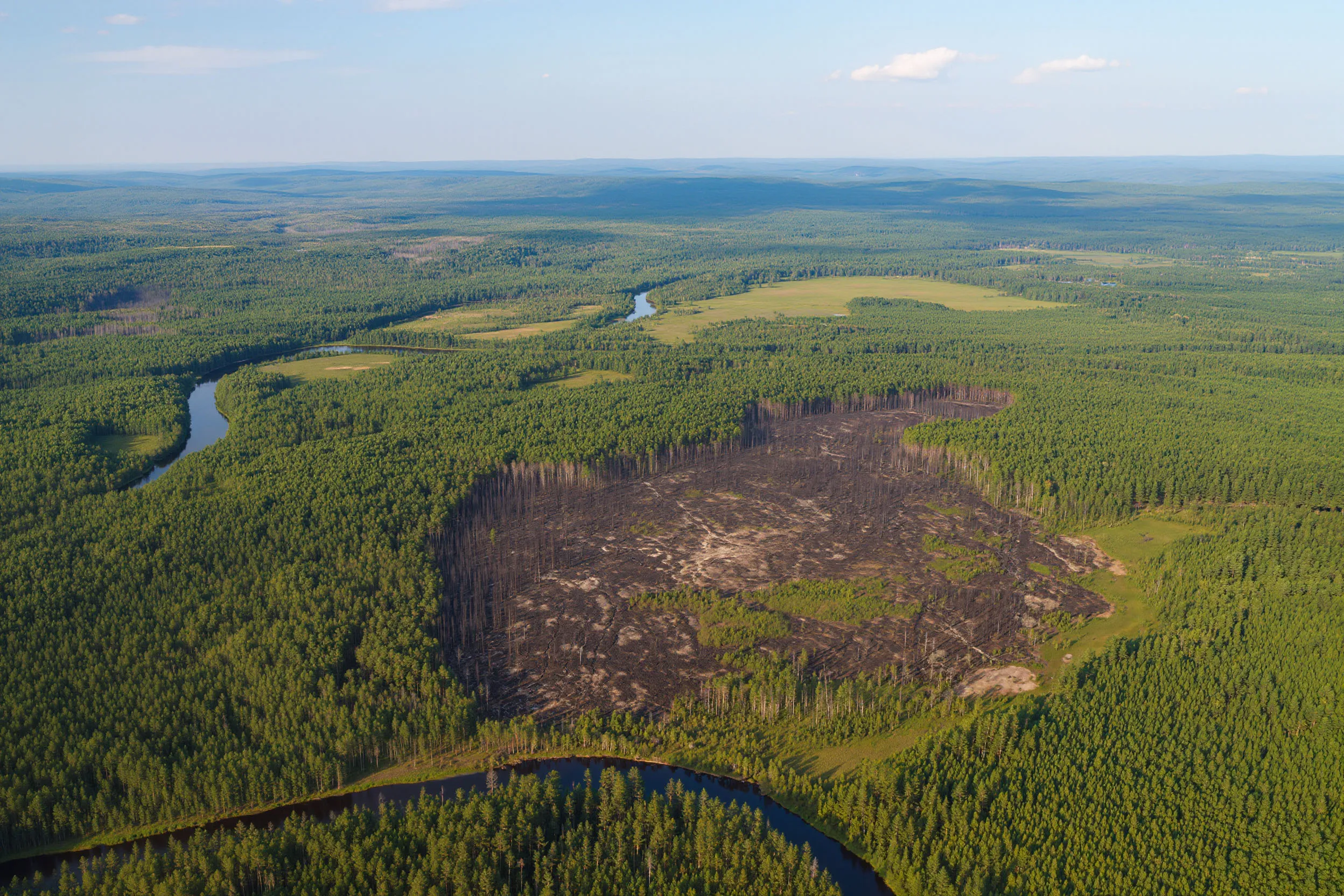 Photo - Planet’s X‑Ray: How AI Protects the Forests of Komi