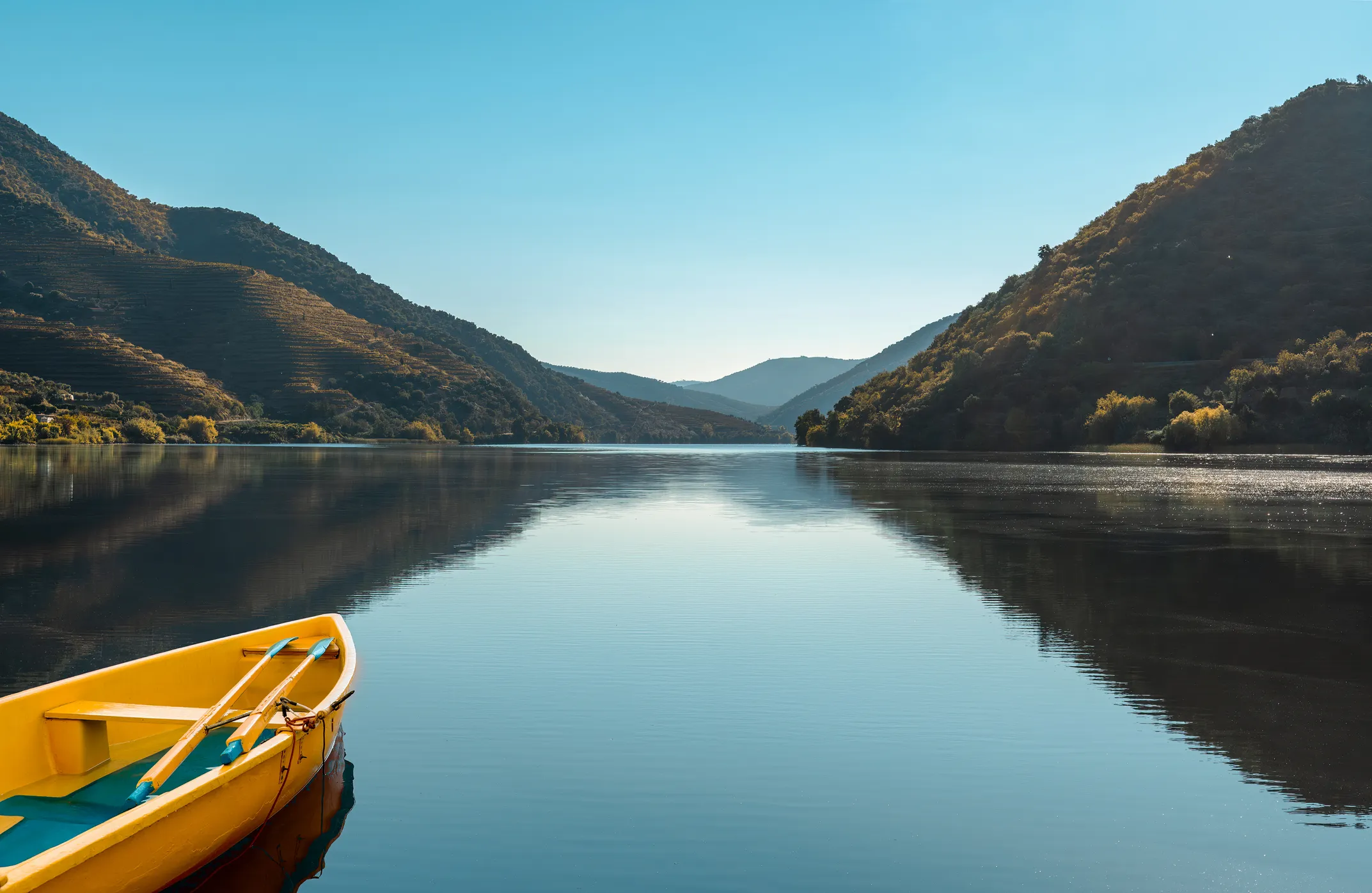 Digital River: Russia’s Game‑Changing Platform for Modernizing Inland Waterways