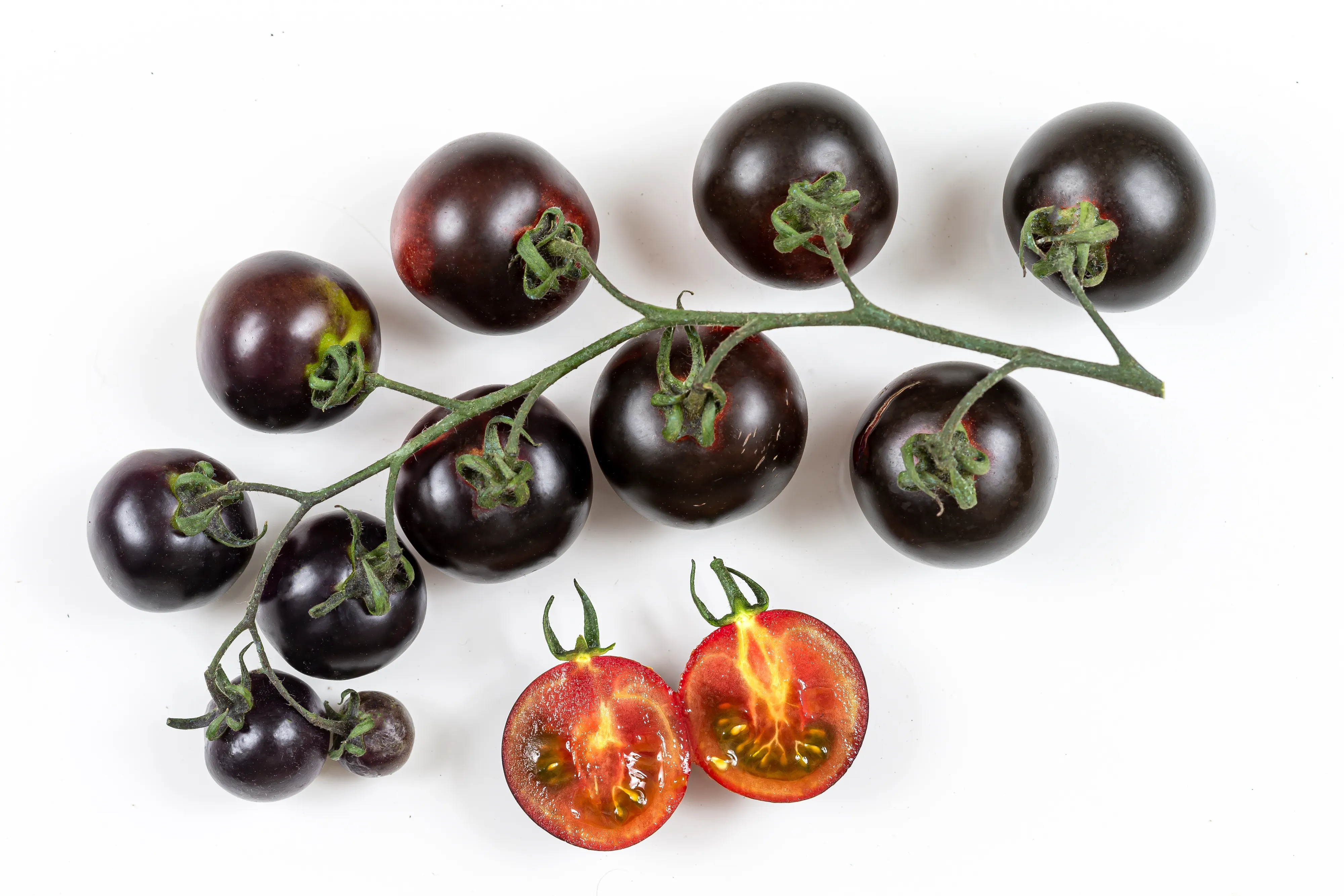 Russia Grows Black Tomatoes Without Soil Using AI and Smart Farming Tech