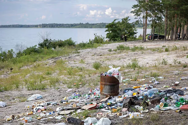 AI That Doesn’t Cross Lines—It Cleans Coastlines