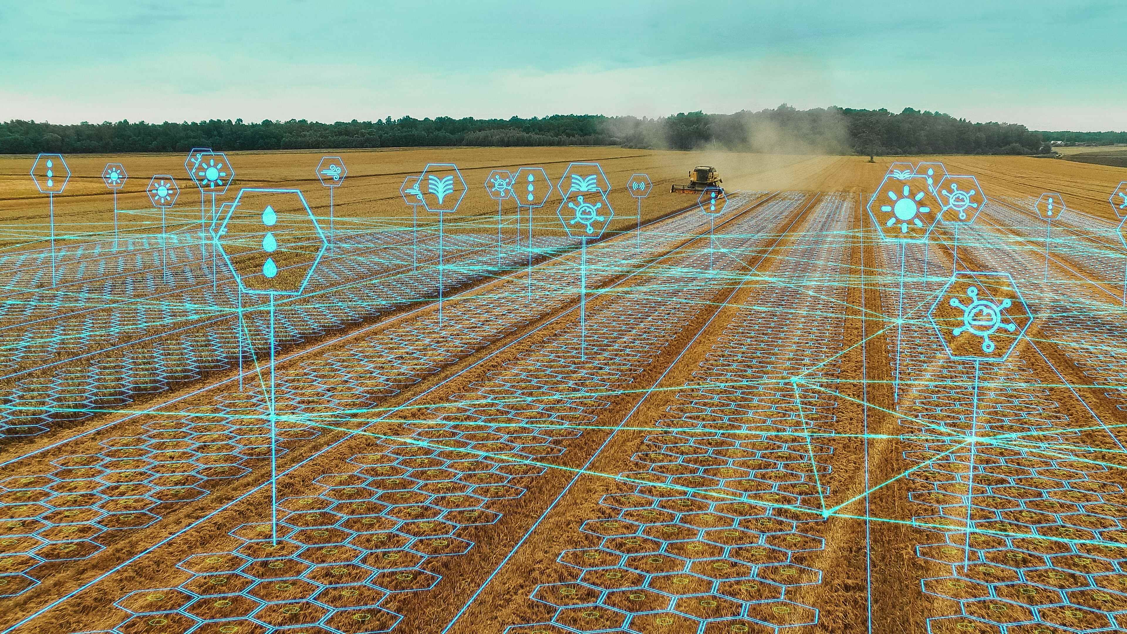 Digital Platforms Bring Sustainability and Innovation to Rural Russia